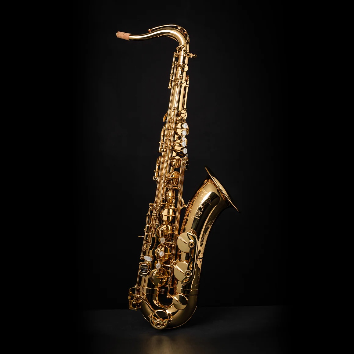 Sunny_Tenor01.jpg