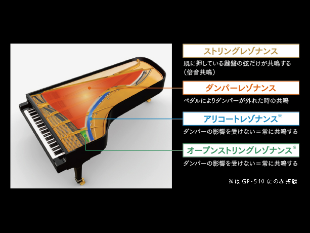 CASIO（カシオ） 電子ピアノ GP-510BP | Piano Cloud Online Store