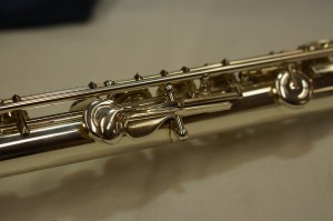 DSC01186-300x199.jpg