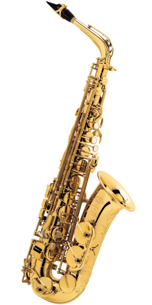 管楽器・吹奏楽器 Patrick CR 75M 格安saleスタート】 Patrick CR 管楽器・吹奏楽器 75M 管楽器
