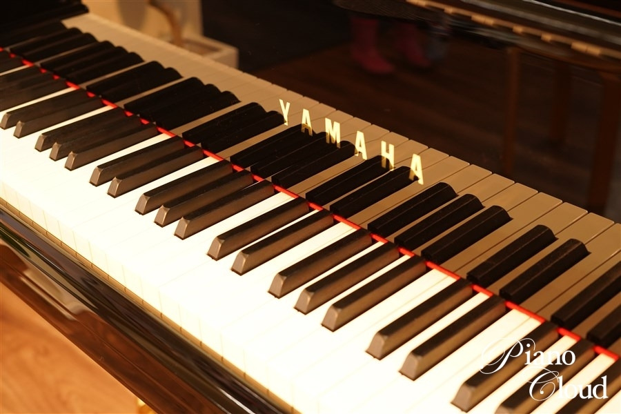 MF　Piano Masterworks　ピアノ・マスターワークス（５０ＣＤ） KF ピアノ・マスターワークス Piano Masterworks（50CD）