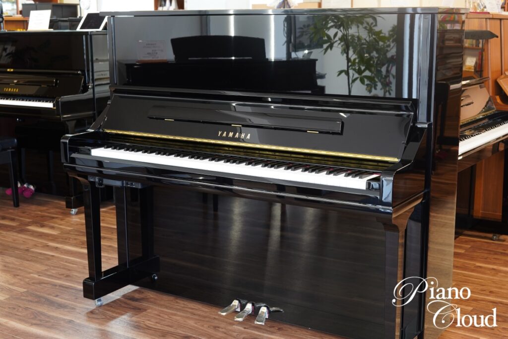 割引中〈10枚セット〉 ティノ・ステファノーニ　『神殿』 20241021153139_DSC06098-