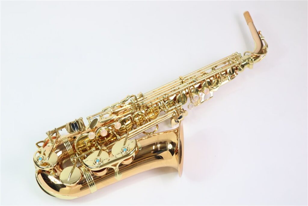 管楽器・吹奏楽器 Thousand Leaves AC 61SxWcRIbHL._UF350,350_QL50_.jpg