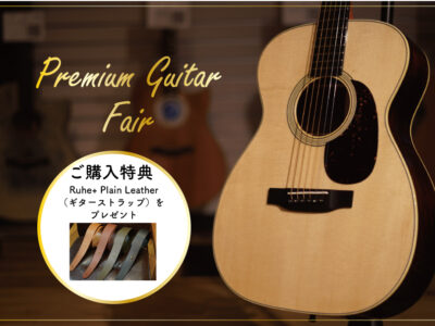 Premium Guitar Fair