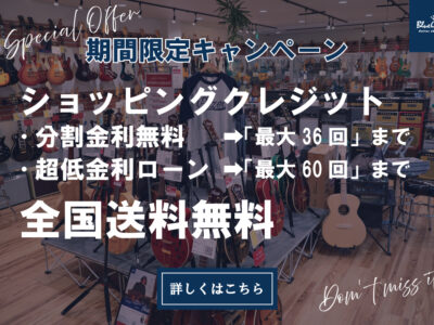 【2025.6.11更新】全国送料無料＆ショッピングローン金利無料＆超低金利キャンペーン