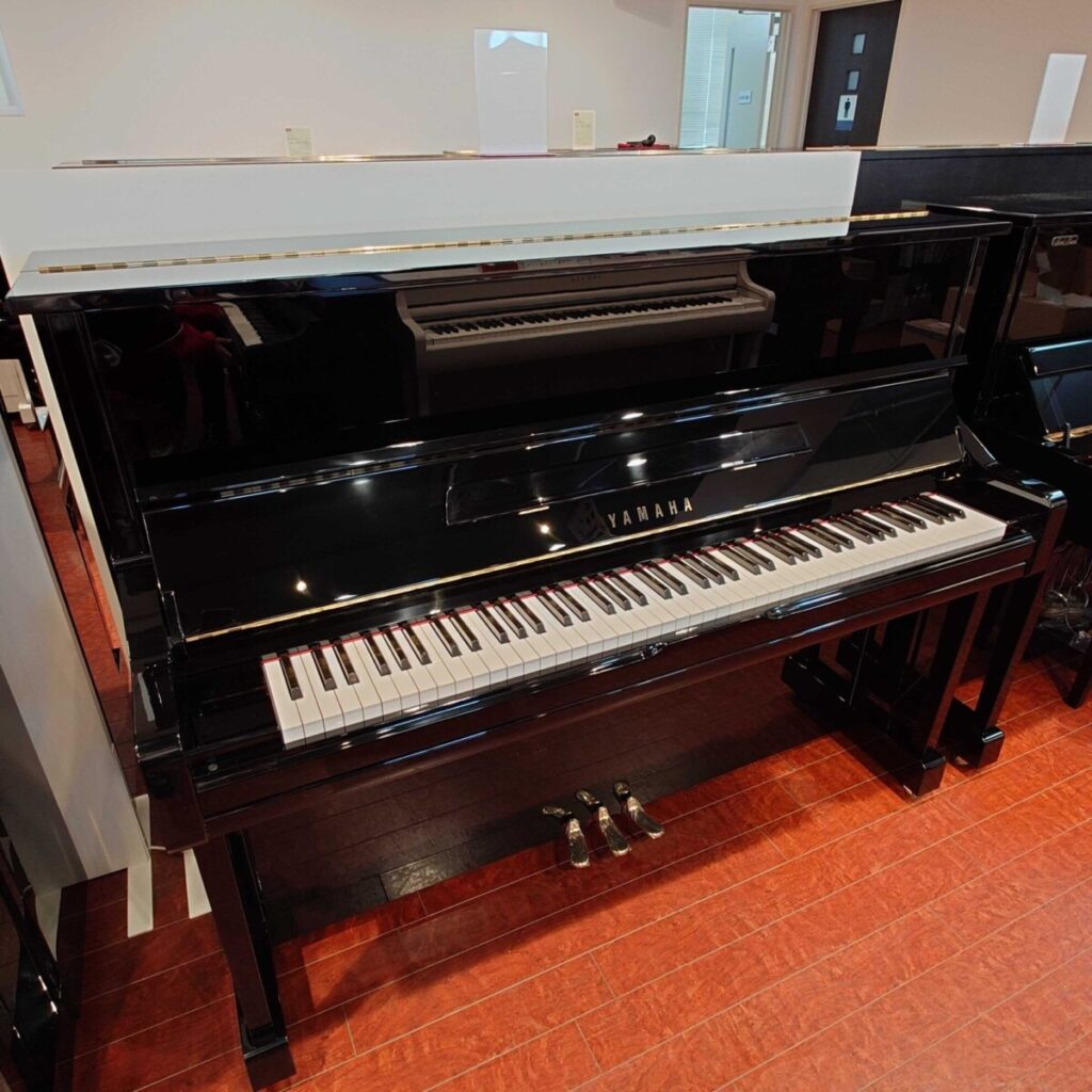 奏でる夏、始まる ～ Piano＆Electone Selection ～ 【6/13～7/12