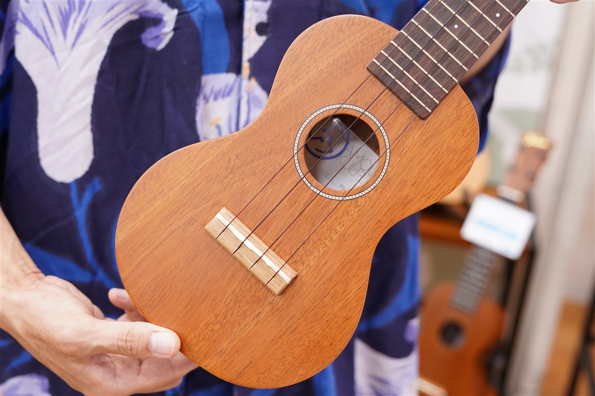 Famous FS-4PG | ウクレレカラーズ Online Store